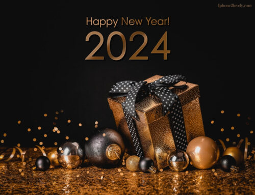 2024: Updates for a New Year